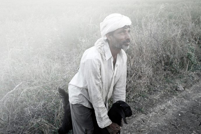 One of many marginalised farmers working for fairtrade cooperatives that supplie fairtrade organic cotton to Kowtow. Photo courtesy of Kowtow.