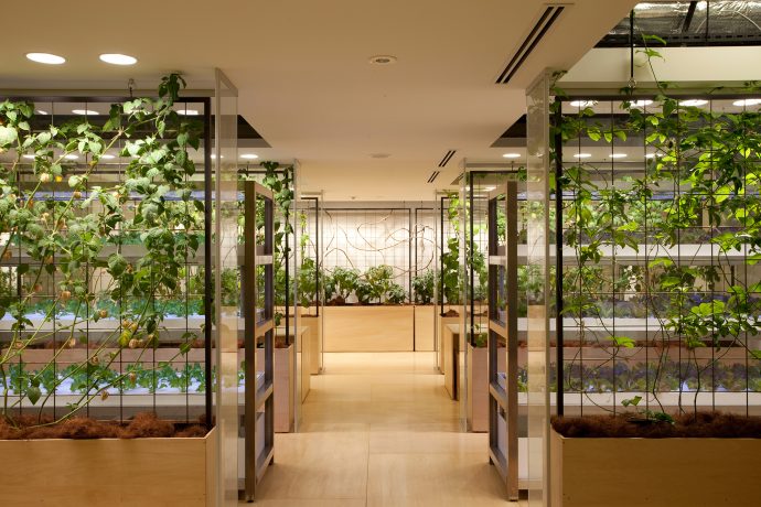 Lemon and passion fruit tree partitions divide each meeting booth. Photo by Luca Vignelli.