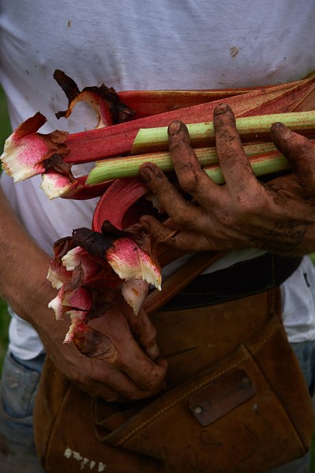 Joost-Bakker-with-produce-from-his-property-at-Monbulk