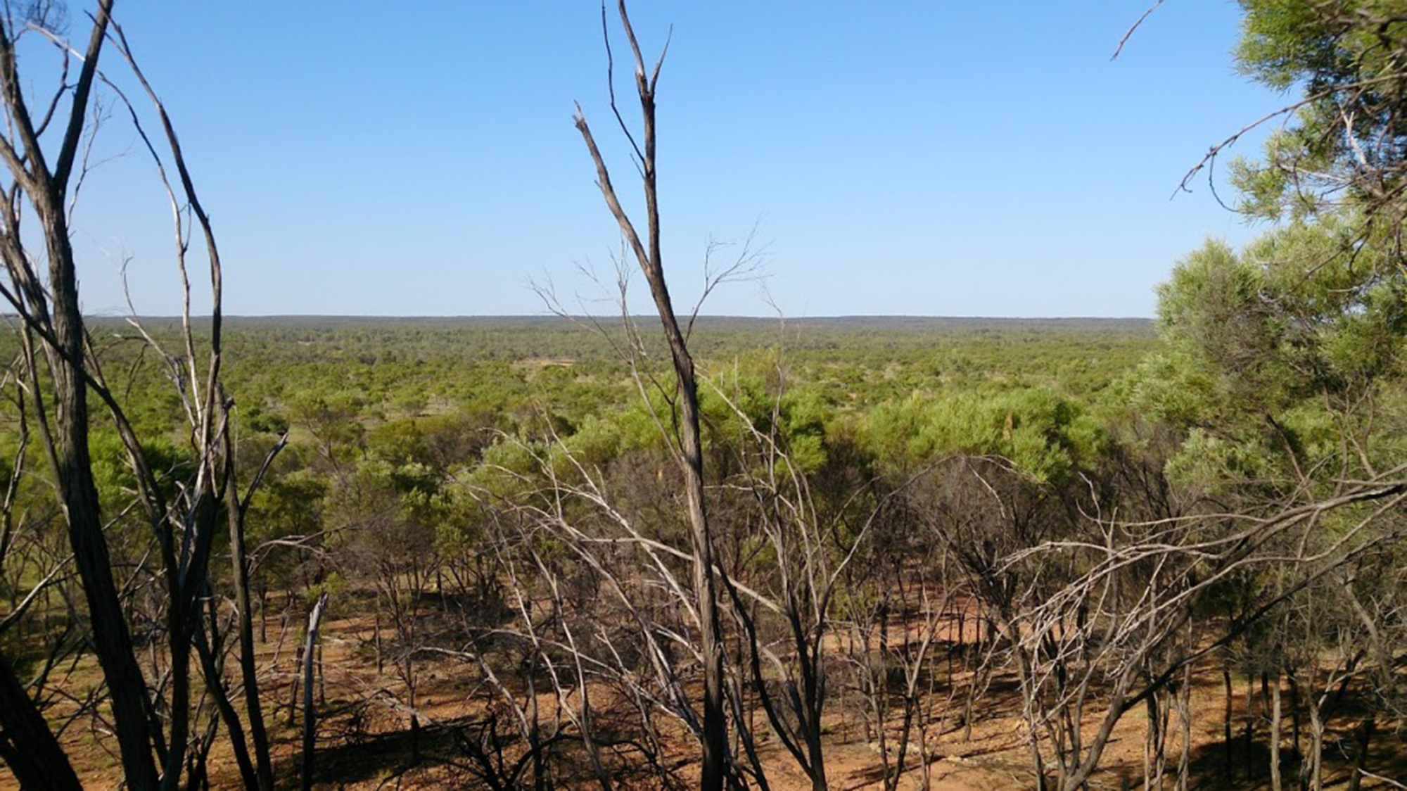 Overlooking-The-Oasis-Doongmabulla-Springs-2000x1124