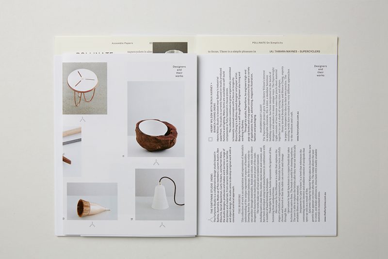 Brain hemisphere functions picture