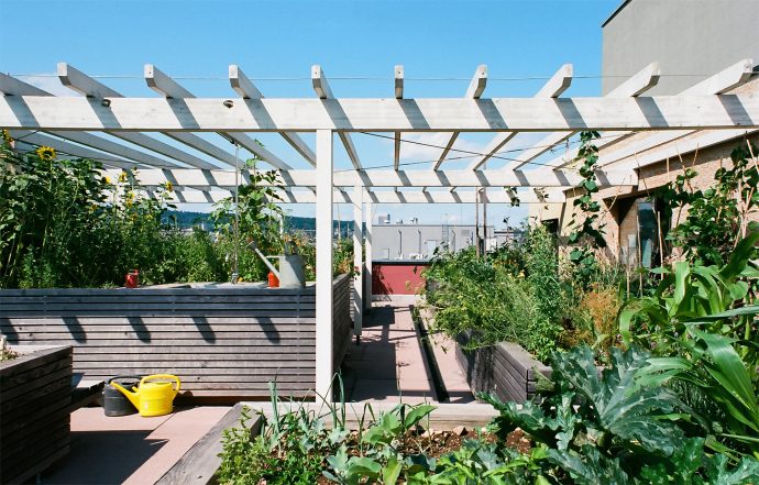 Co-op City experiments with non-profit housing in Zürich | Assemble Papers