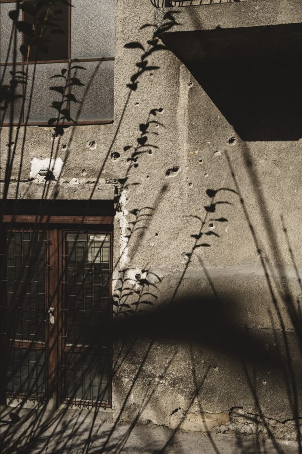 Sarajevo essay image