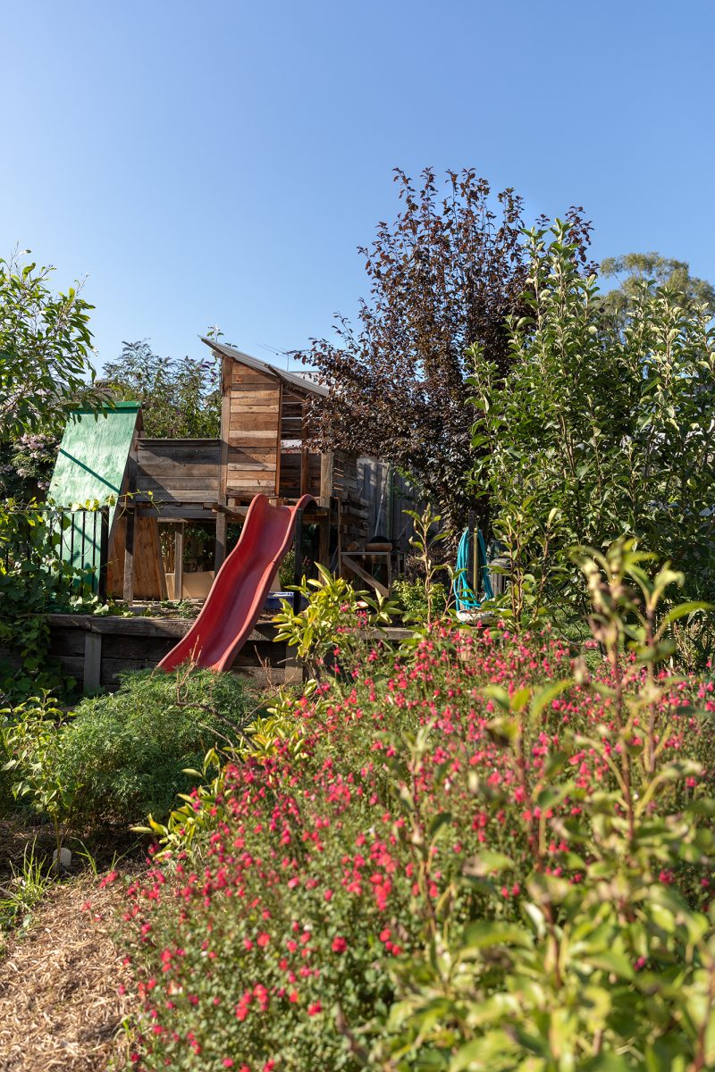 Housing Co-operative Murundaka showcases how transformative change is possible in the suburbs of Melbourne | Children’s playground with red slide and natural wooden cubby house amongst native Australian plants | Co-op living Australia | cohousing collective | Photography by Jasmine Fisher | edited by Jana Perković | Assemble Papers